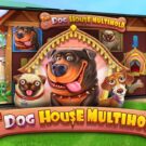 Tragamonedas The Dog House Multihold