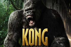 rey kong