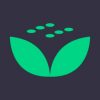 MintDice Casino Online