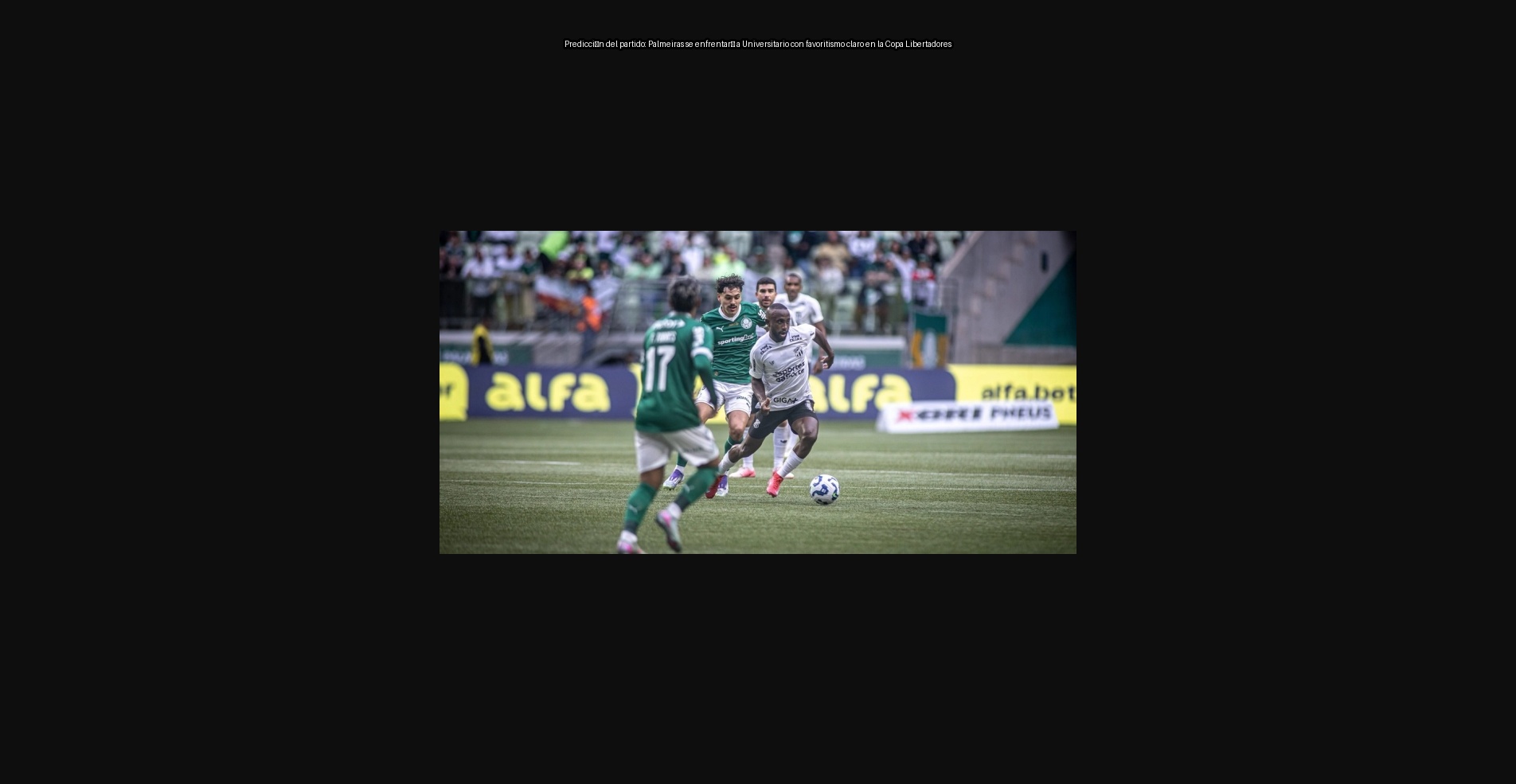 Party prediction: Palmeiras will face university with clear favoritism in the Copa Libertadores 1 291904 1