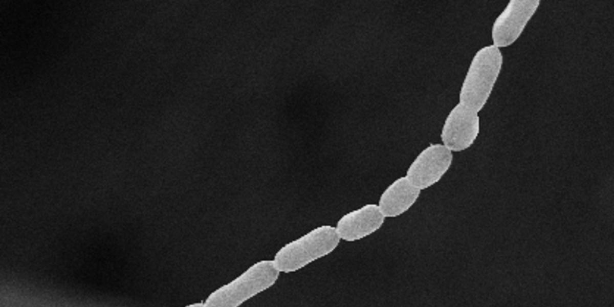 62B5895E37D5D.R D.1094 1094 0