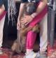 La emocionante reacción de este perrito al saber que ha sido adoptado