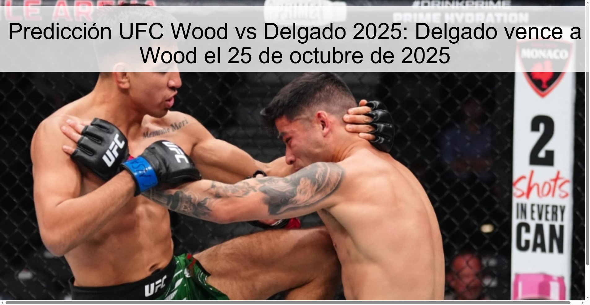 Predicción UFC Wood vs Delgado 2025: Delgado vence a Wood el 25 de octubre de 2025 1 316197
