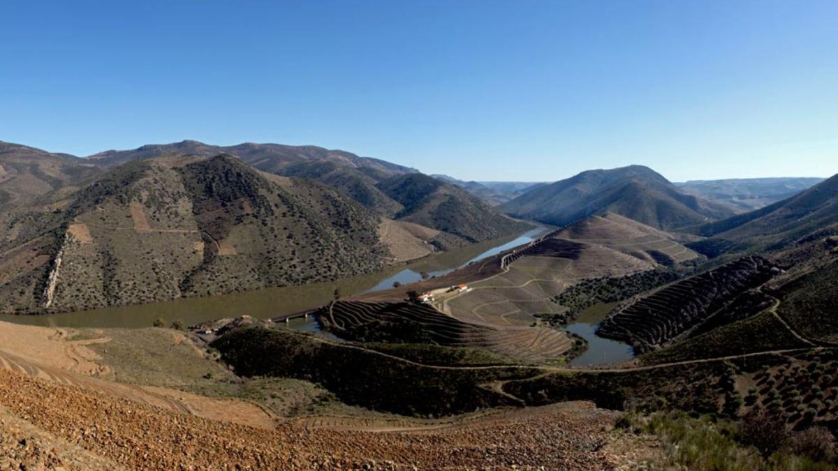 Unos grabados han resistido más de 12.000 años en este punto de Castilla y León: "El conjunto más importante de arte rupestre paleolítico al aire libre en España y Portugal" 1 68ed120556342