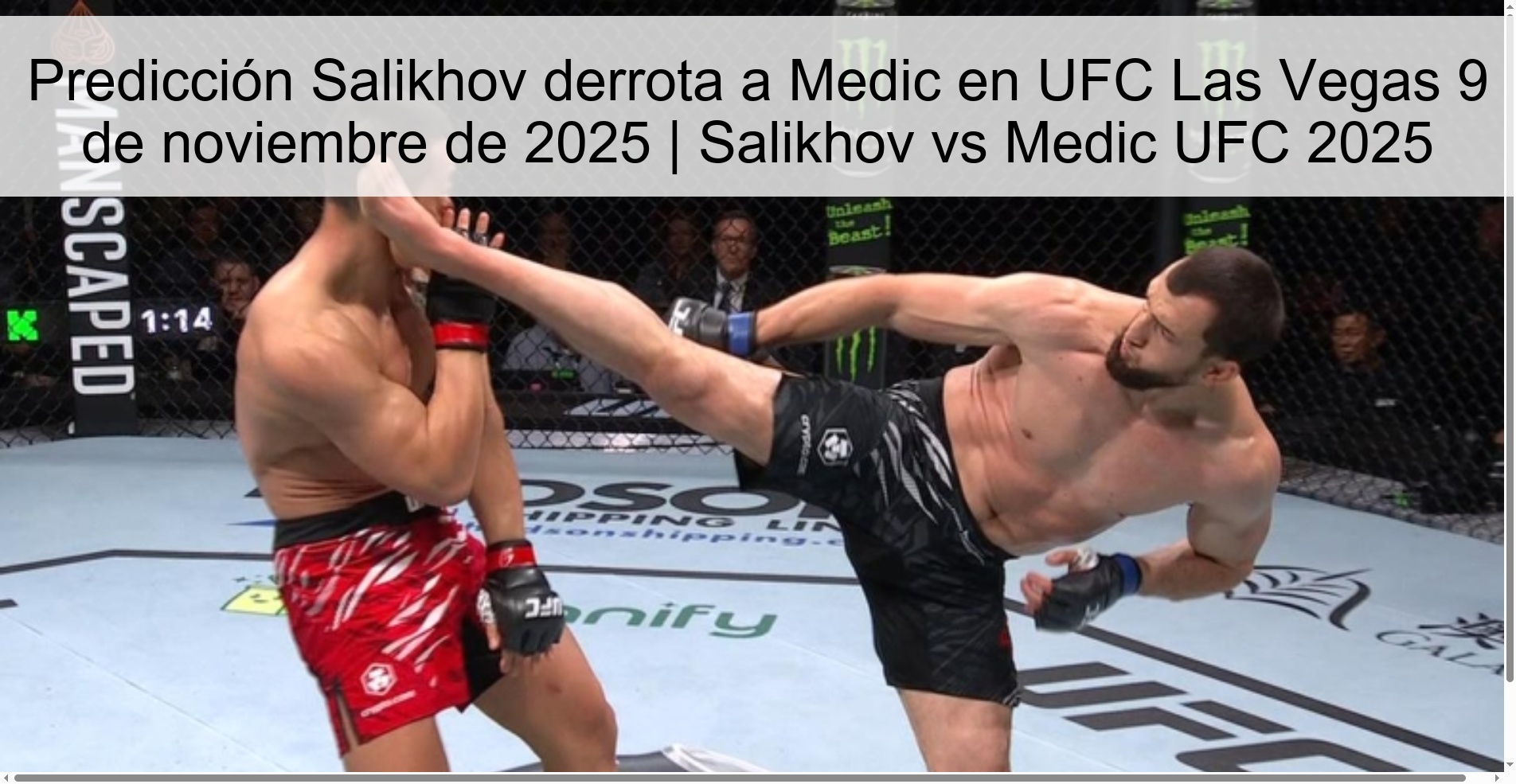 Predicción Salikhov derrota a Medic en UFC Las Vegas 9 de noviembre de 2025 | Salikhov vs Medic UFC 2025 1 321729