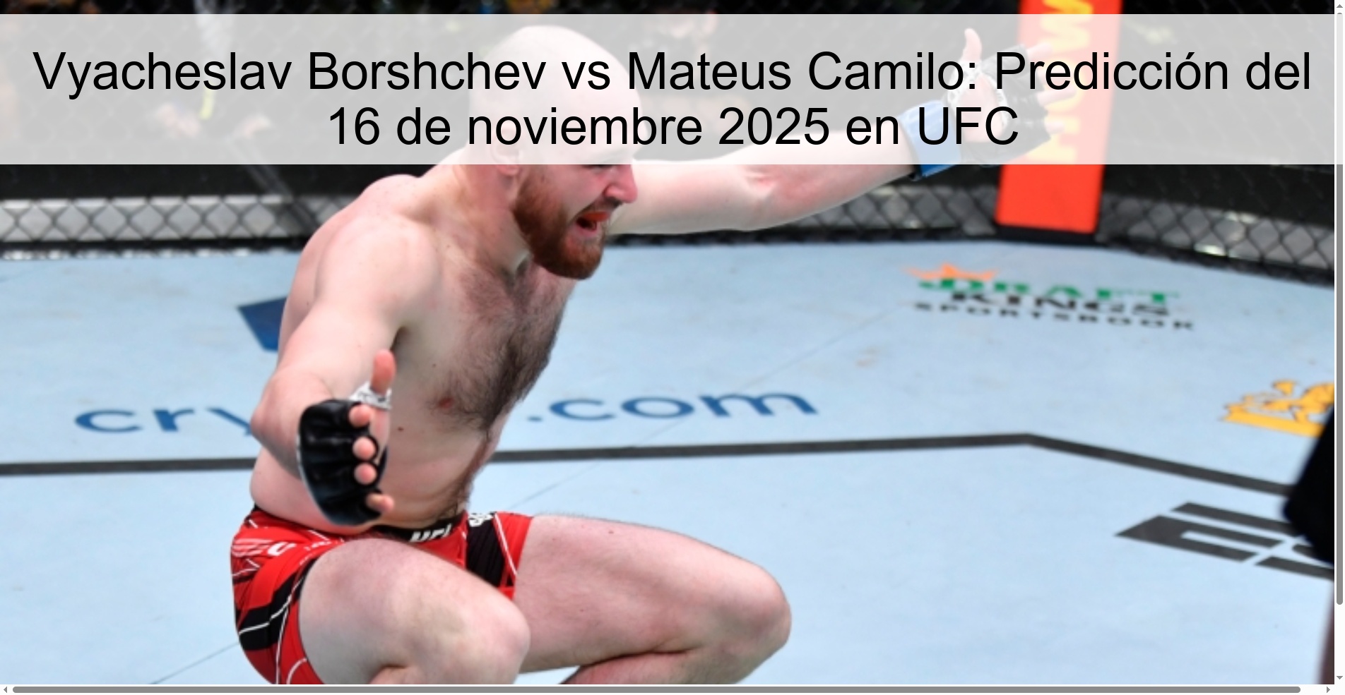 Vyaсheslav Borshchev vs Mateus Camilo: Prediction for November 16, 2025 in UFC 1 323817 2