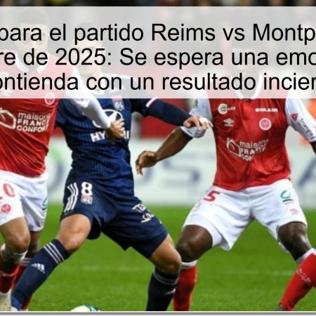 Pronóstico para el partido Reims vs Montpellier, 24 de noviembre de 2025: Se espera una emocionante contienda con un resultado incierto