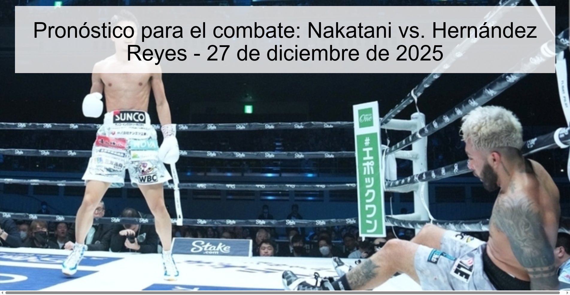 Prediction for the fight: Nakatani vs. Hernández Reyes - December 27, 2025
