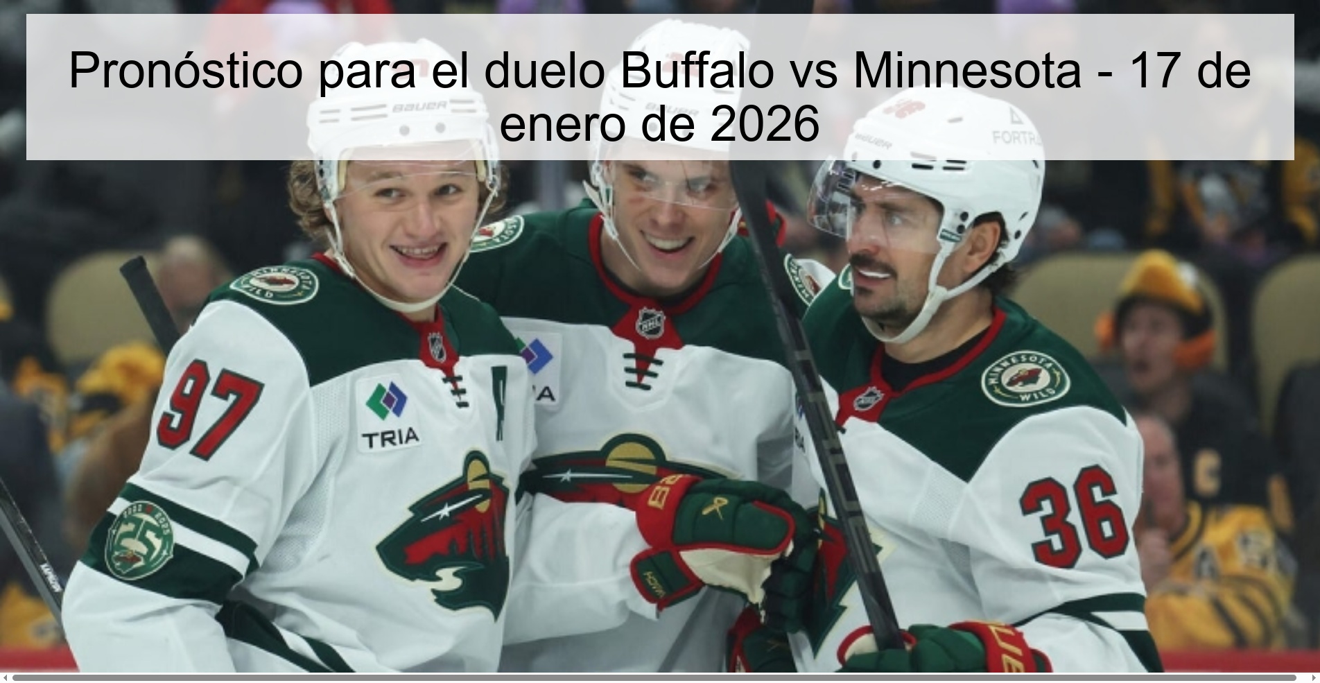 Prediction for the Buffalo vs Minnesota duel - January 17, 2026