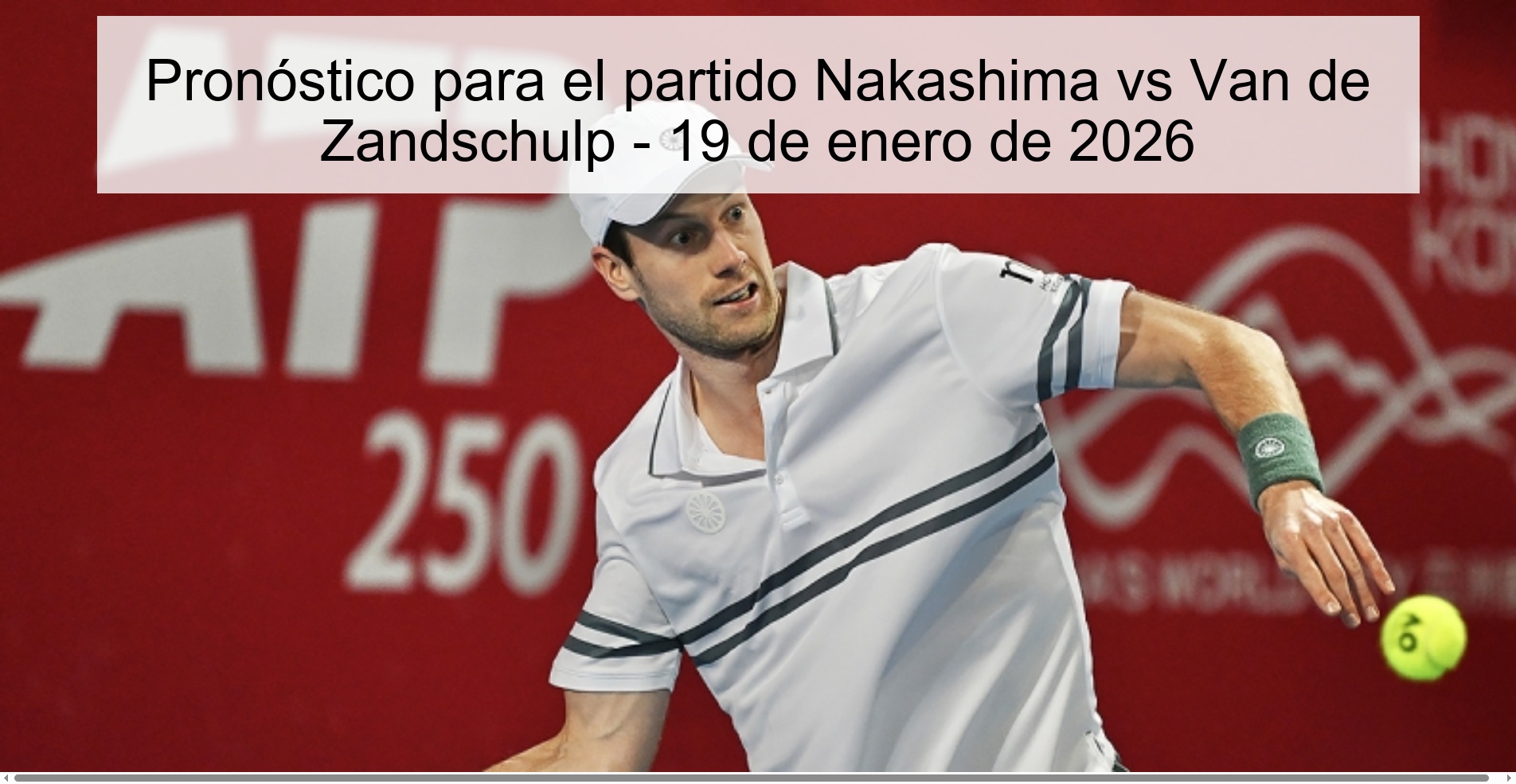 Prediction for the match Nakashima vs Van de Zandschulp - January 19, 2026