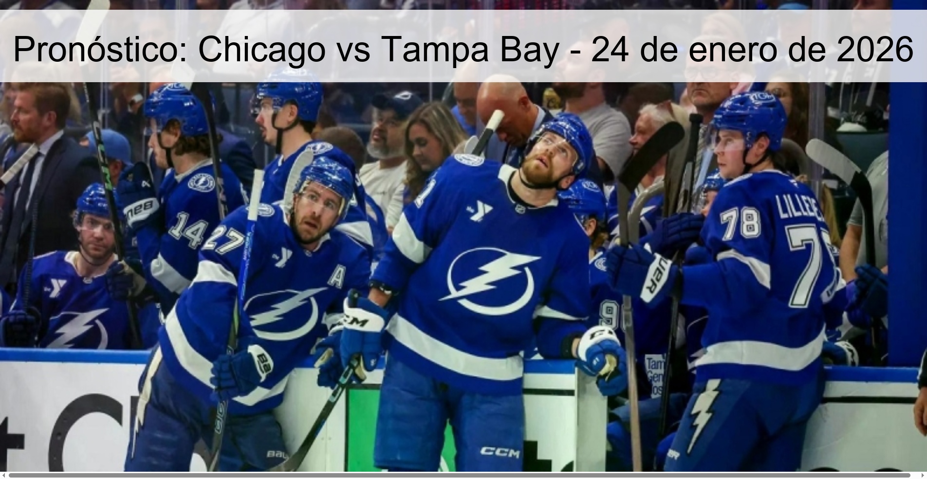 Pronóstico: Chicago vs Tampa Bay - 24 de enero de 2026