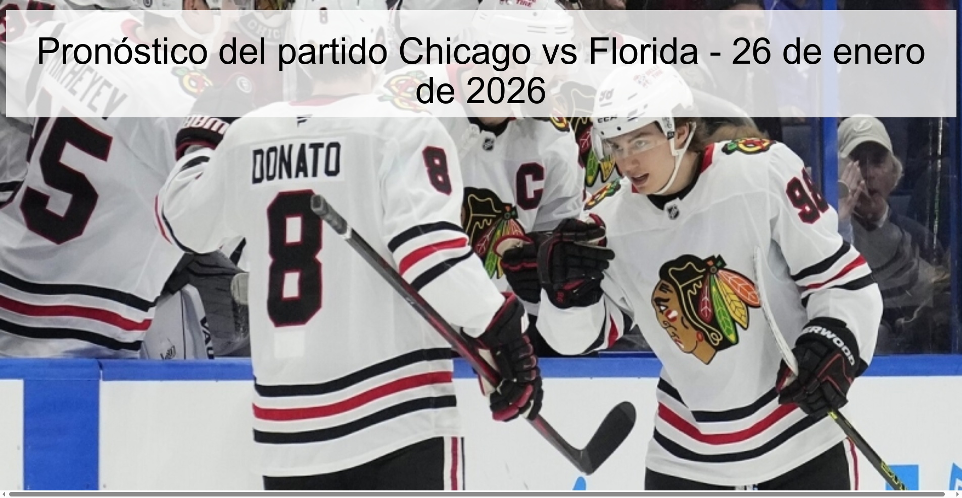 Chicago vs Florida Prediction – January 26, 2026