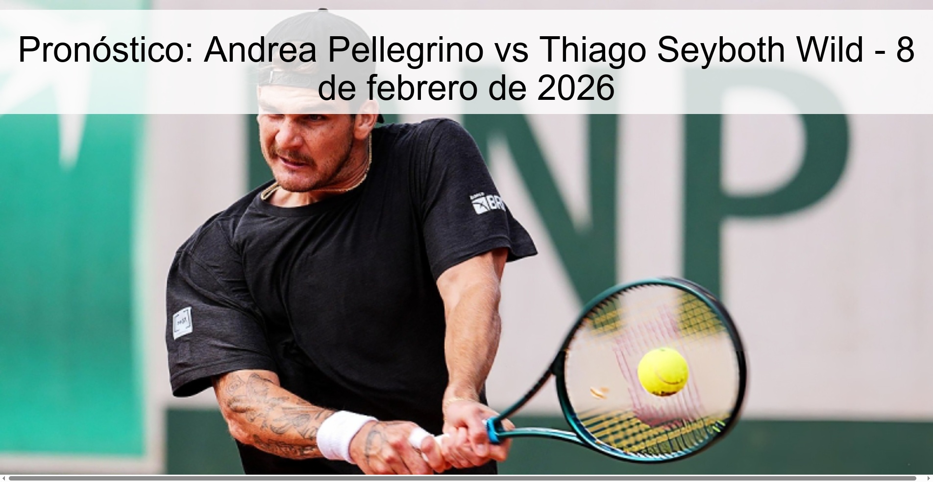 Prediction: Andrea Pellegrino vs Thiago Seyboth Wild – February 8, 2026