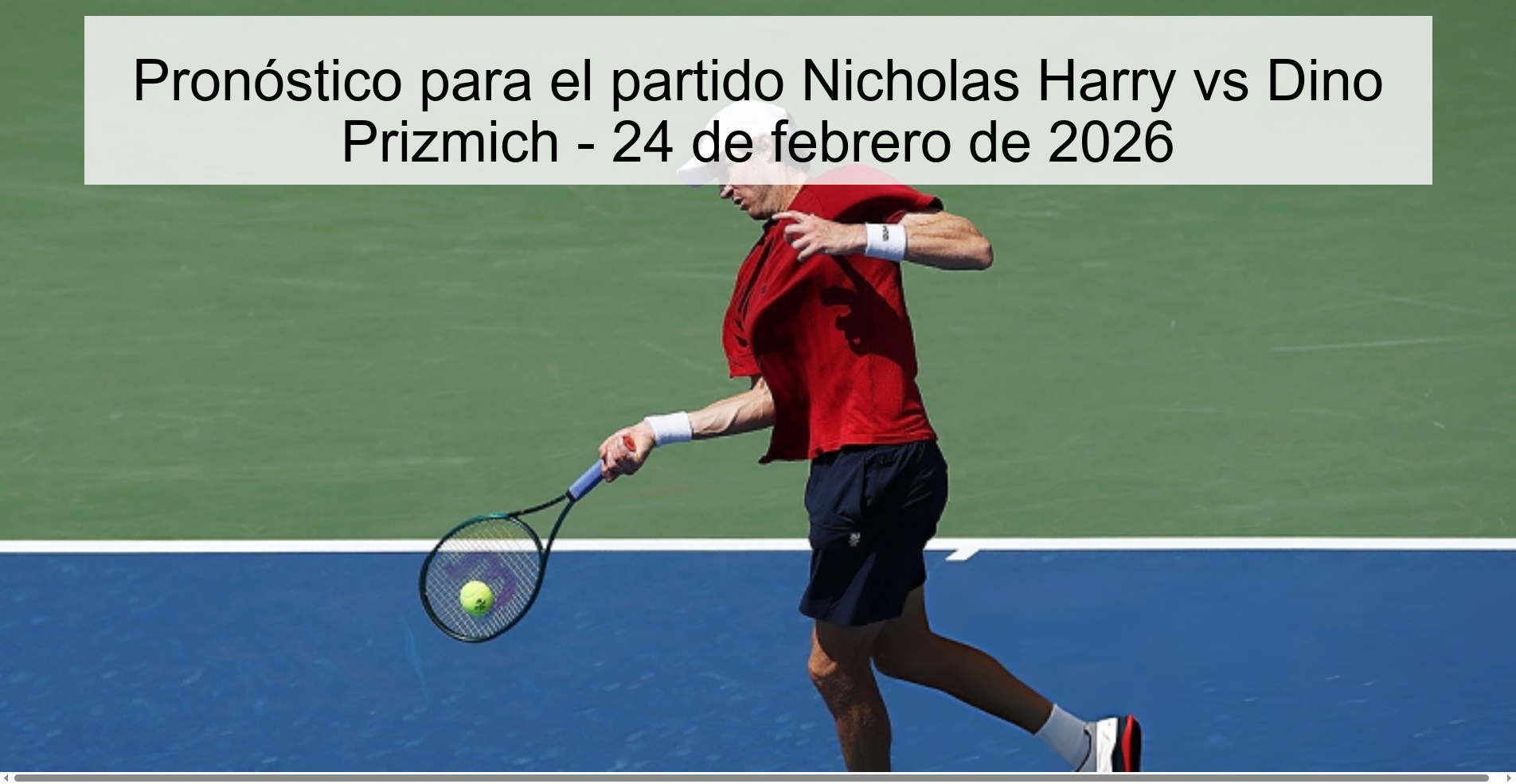 Pronóstico para el partido Nicholas Harry vs Dino Prizmich - 24 de febrero de 2026