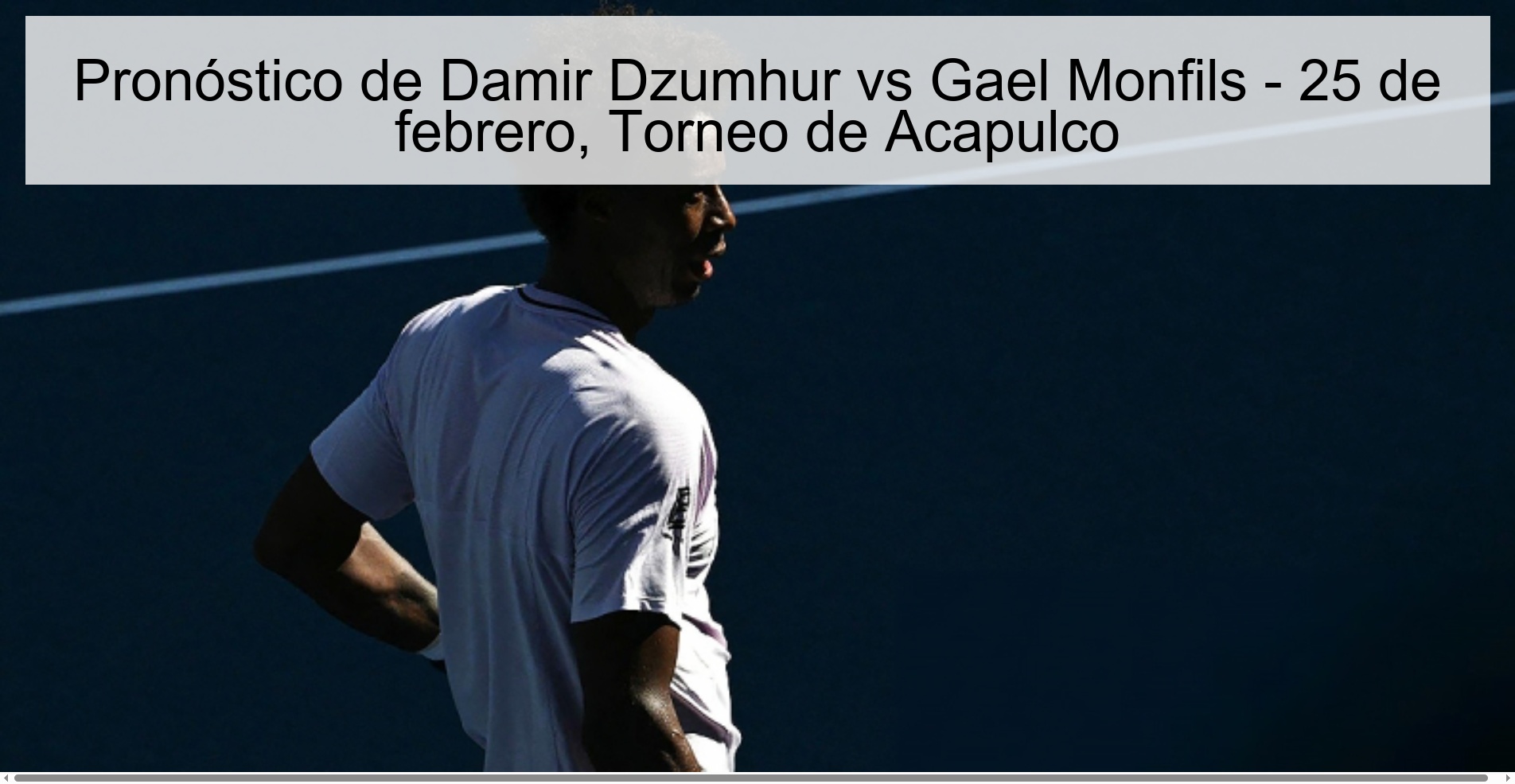 Damir Dzumhur vs Gael Monfils Prediction - February 25, Acapulco Tournament