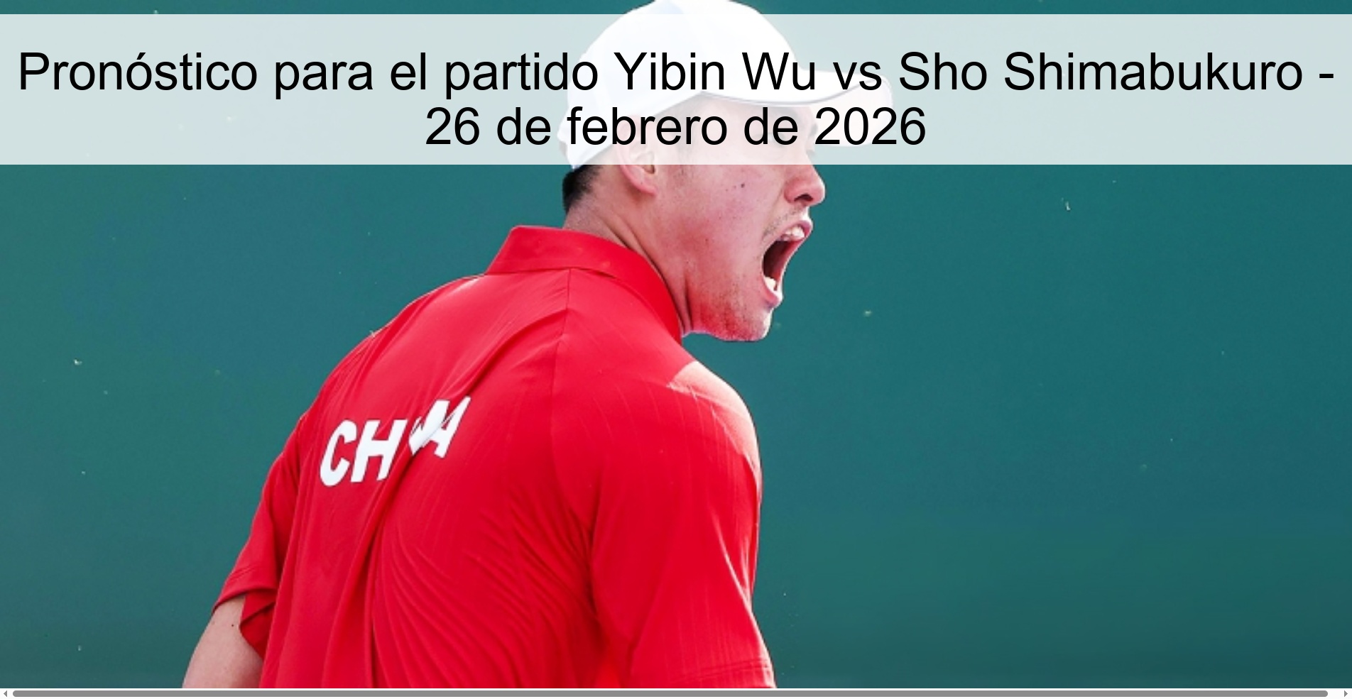 Prediction for the match Yibin Wu vs Sho Shimabukuro - February 26, 2026