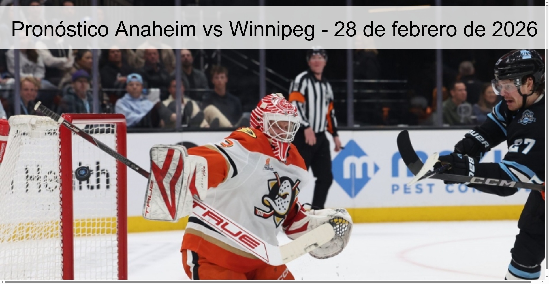 Anaheim vs Winnipeg Prediction – February 28, 2026