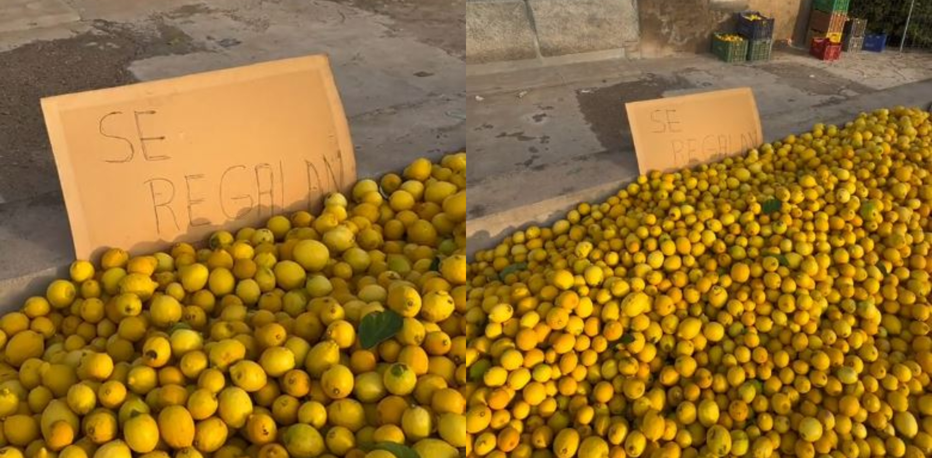 Crisis in the Spanish Countryside: The Countryside Drowns as Prices Collapse