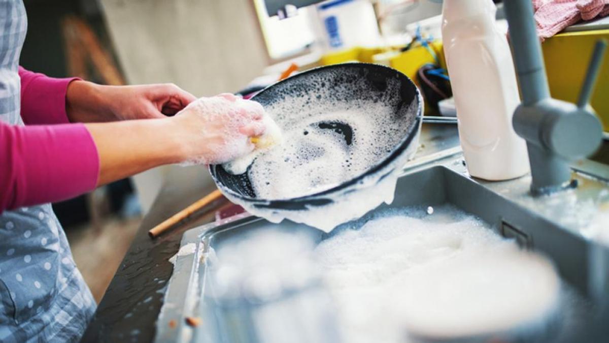 Your Kitchen Sponge: A Silent Danger You Must Fight!