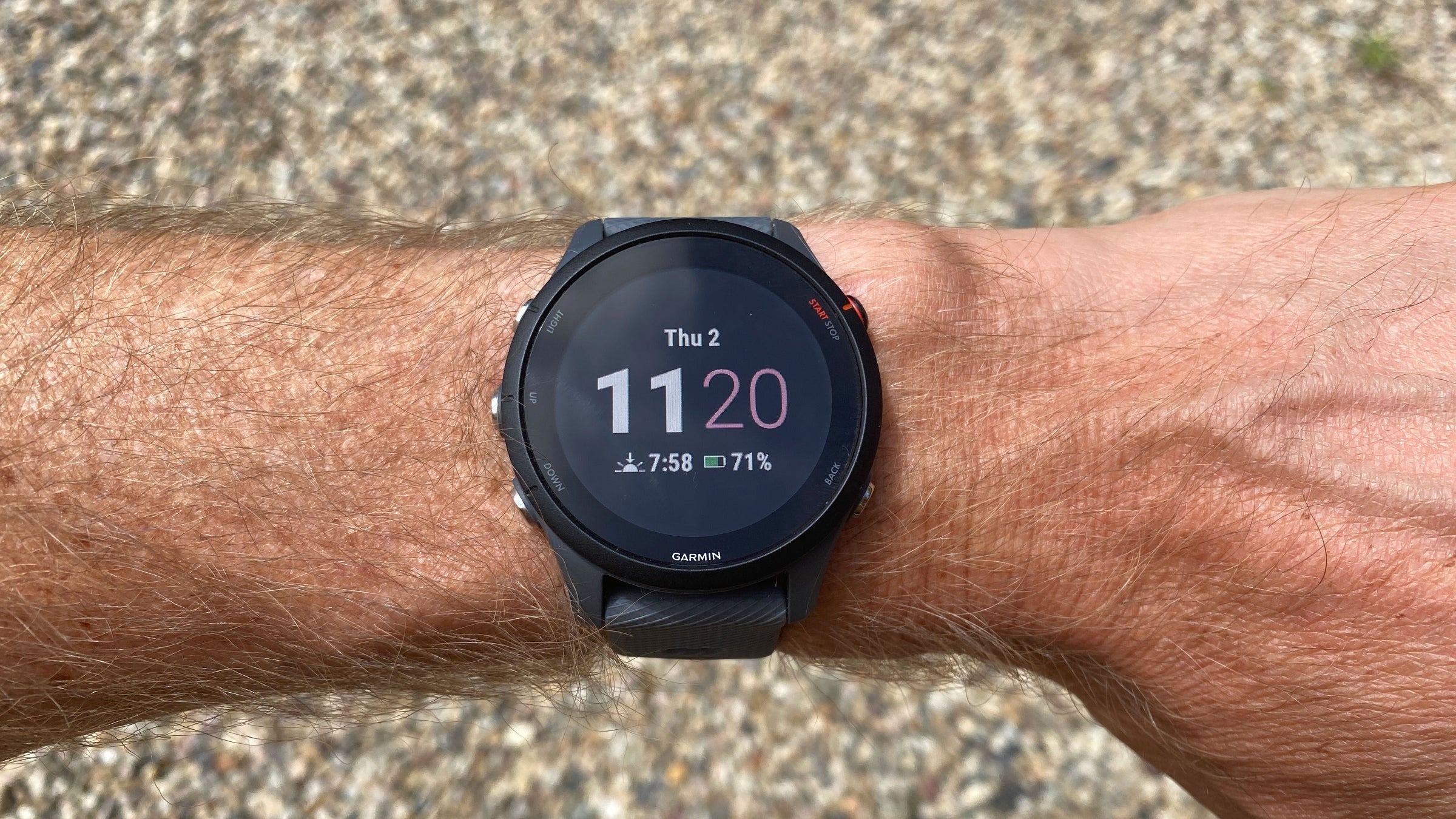 The Garmin Forerunner 255: The sports watch that transforms training