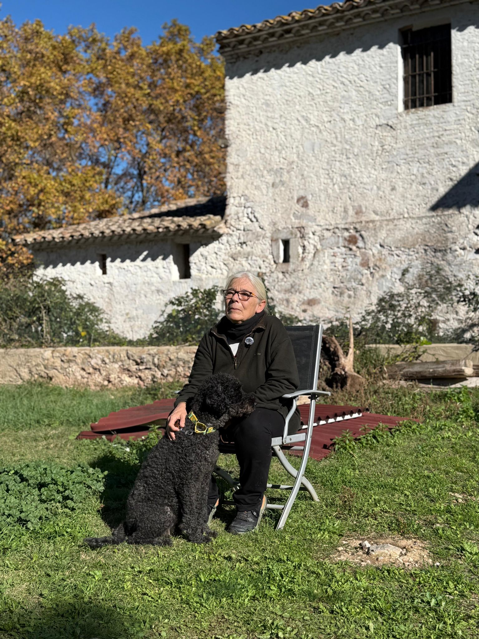 Vallirana becomes a refuge of hope for abandoned dogs and cats Vallirana becomes a refuge of hope for abandoned dogs and cats
