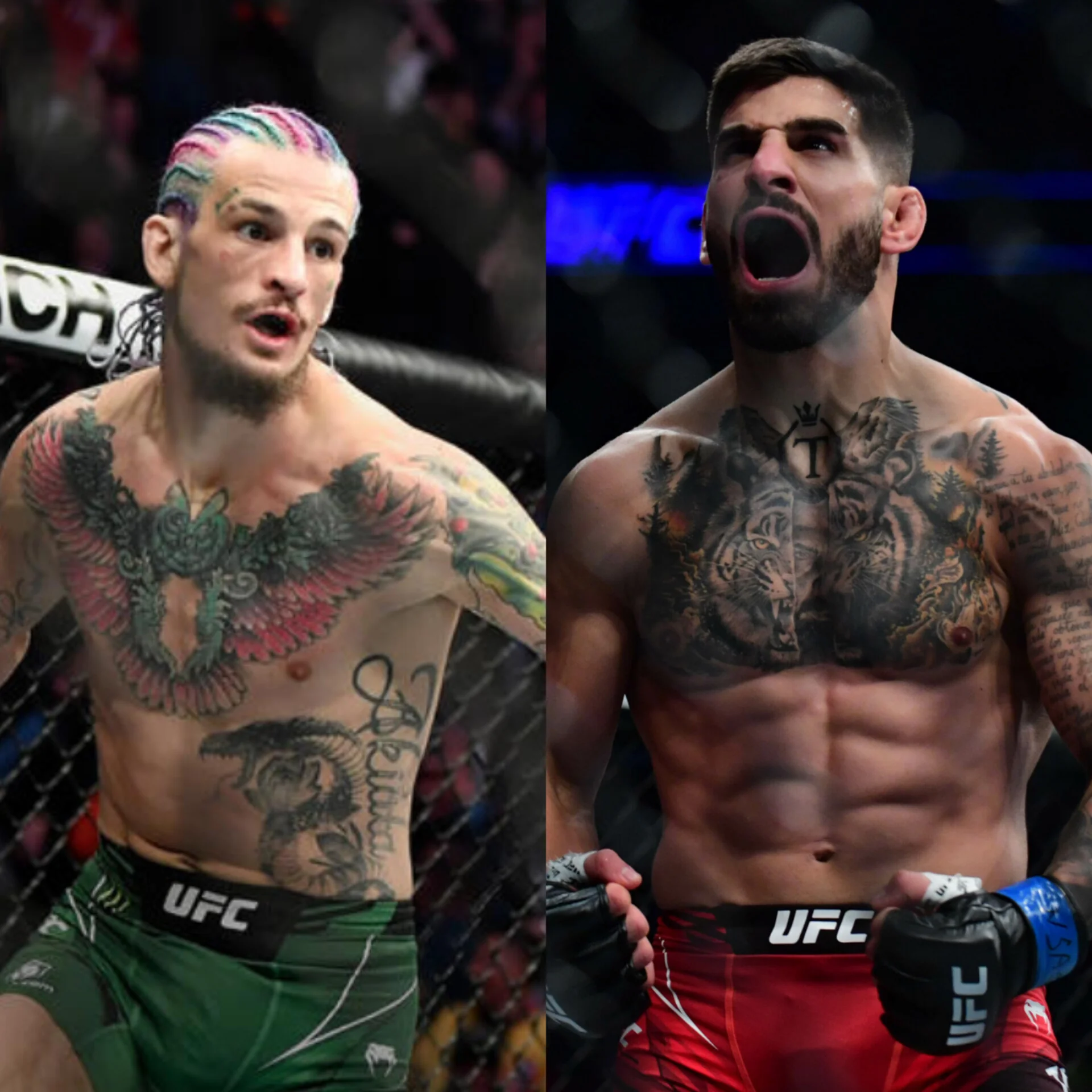 Ilia Topuria y Sean O'Malley: El inesperado giro de rivalidad y respeto en el UFC