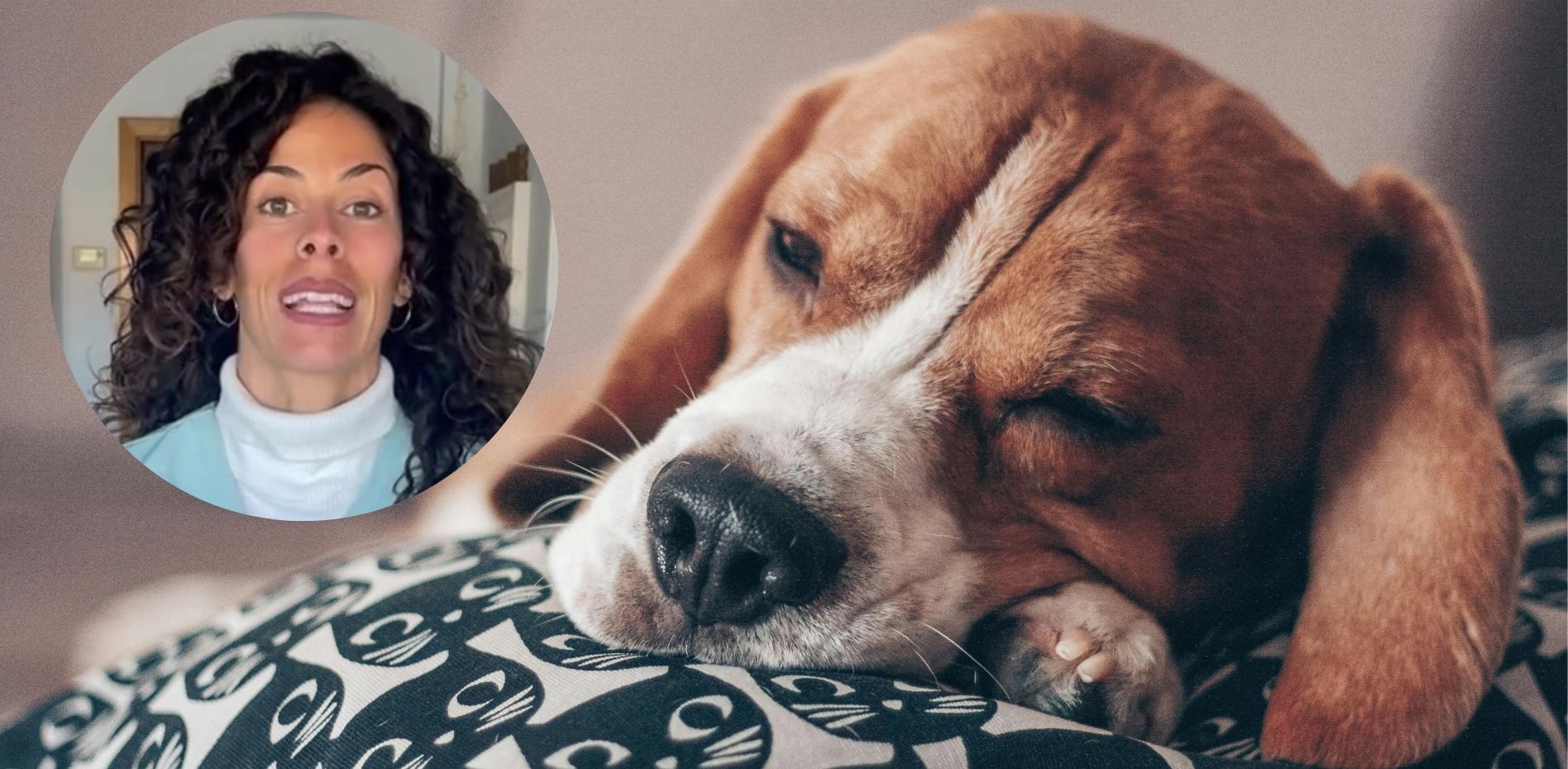 ¡Alerta Mascota! Cómo Salvar a Tu Mejor Amigo en 3 Minutos Críticos