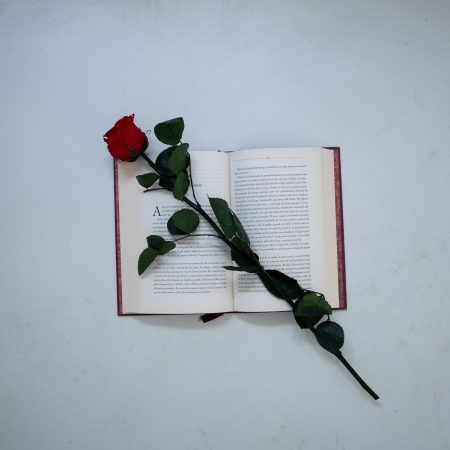 La Magia de Sant Jordi: Celebración del Amor y la Cultura en Cataluña