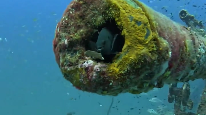 El legado de Barbanegra: descubrimientos arqueológicos que revelan la vida del infame pirata El legado de Barbanegra: descubrimientos arqueológicos que revelan la vida del infame pirata