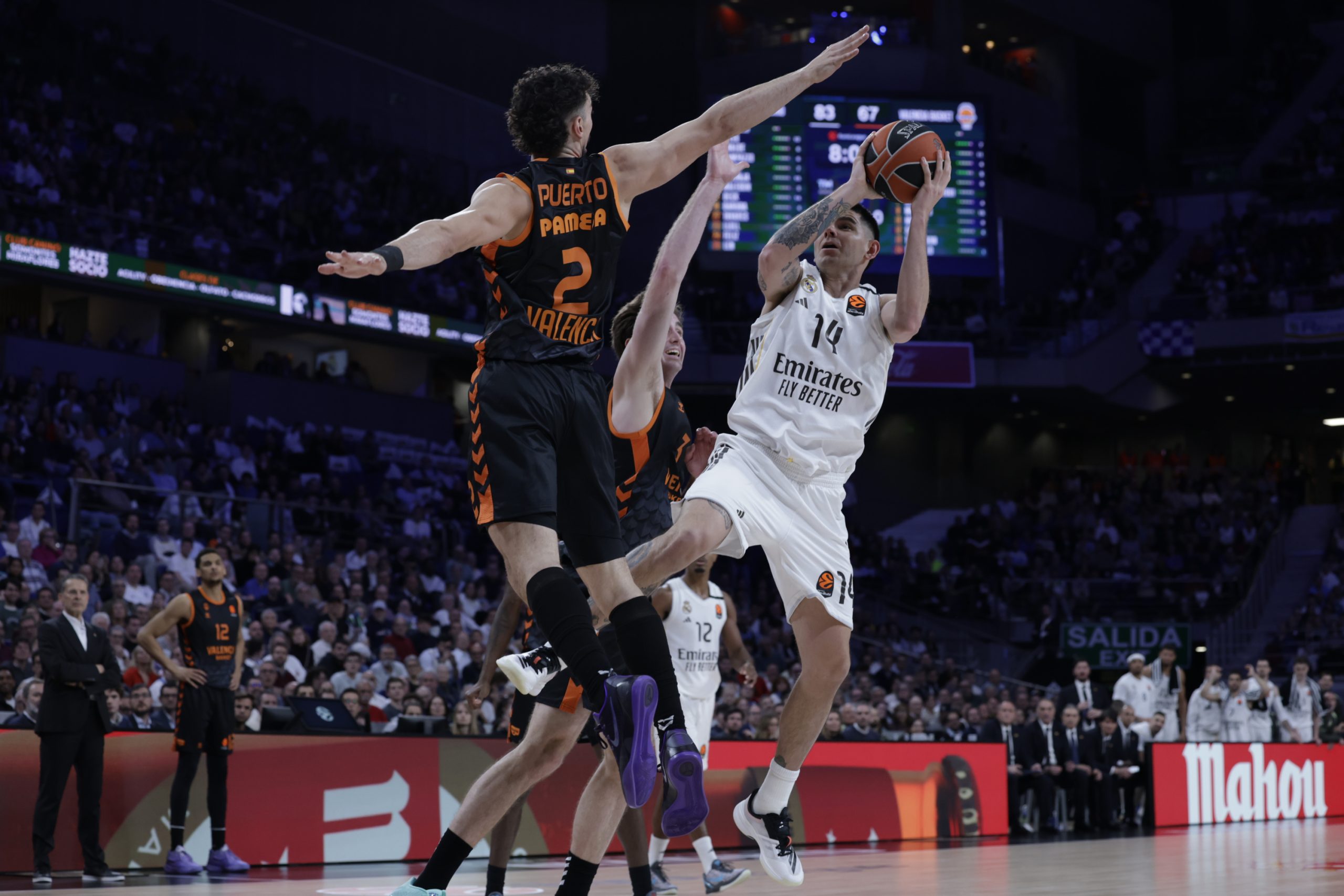 ¡Final de Infarto en la Euroliga! Real Madrid y Estrella Roja se Citan en un Duelo Decisivo por el Playoff ¡Final de Infarto en la Euroliga! Real Madrid y Estrella Roja se Citan en un Duelo Decisivo por el Playoff