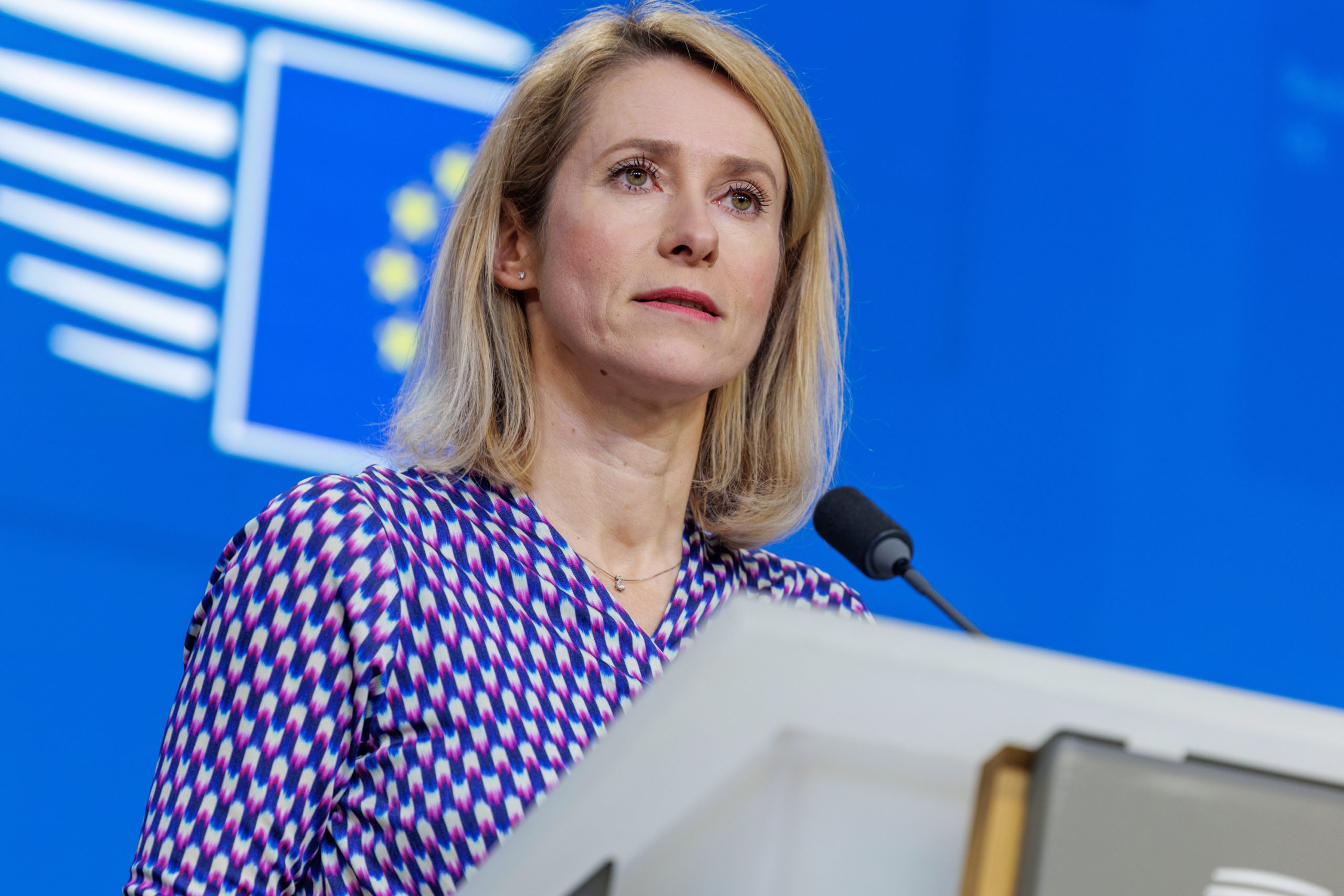 El Parlamento Europeo aprueba un nuevo reglamento para proteger a perros y gatos en la UE