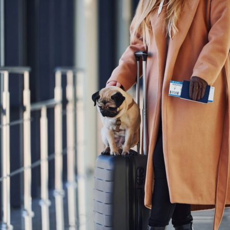 Hairy Revolution In Europe! Goodbye to Abuse, Hello to Total Identification of Dogs and Cats